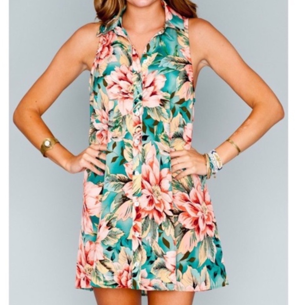 Show Me Your Mumu Carly Collared Dress 
 ~ in Tommy & The Band